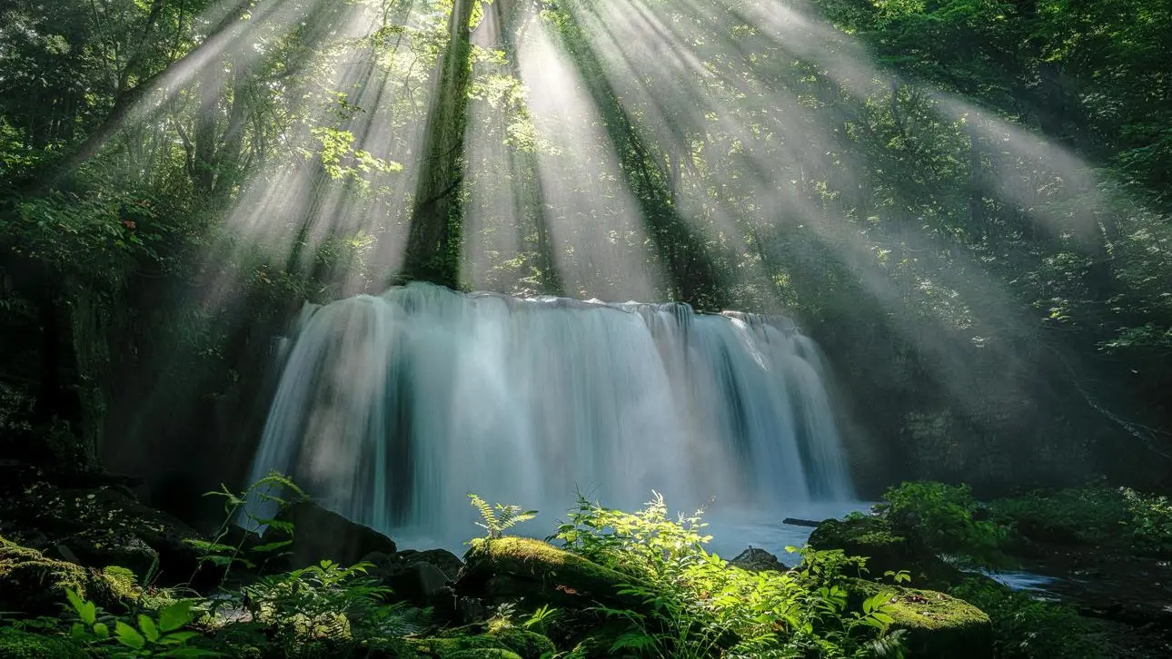 Nature & Human Well-being